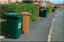 SJ4169 : Ubiquitous wheelie bins at Upton by Row17