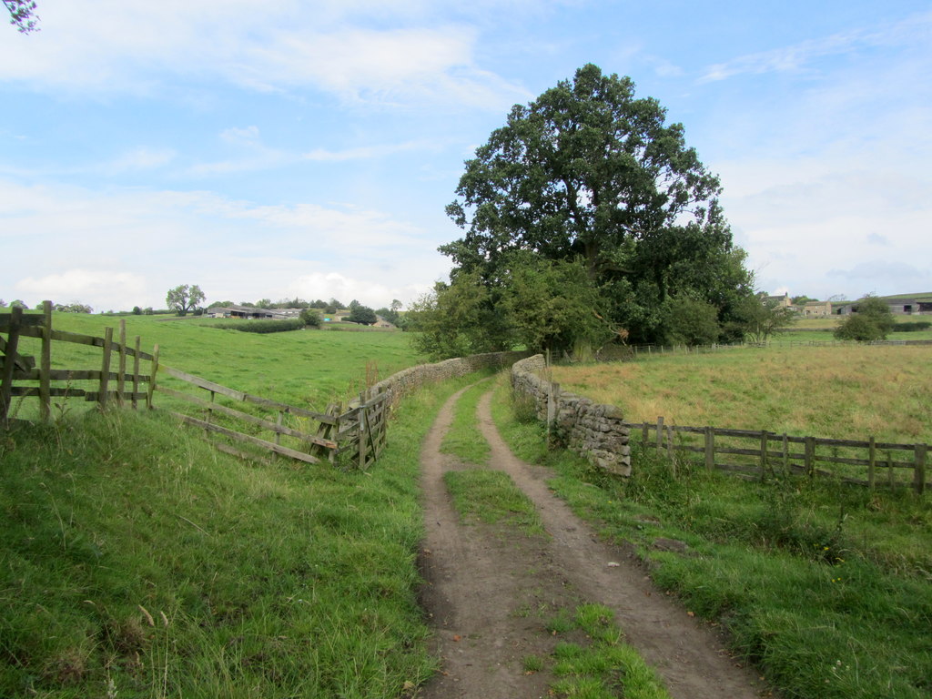 Bridleway South Of Stainburn Chris Heaton Geograph Britain And Ireland