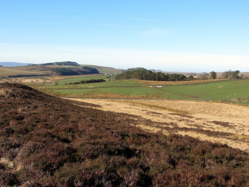 Moorland Near Greenlee Lough Andrew Curtis Geograph Britain And