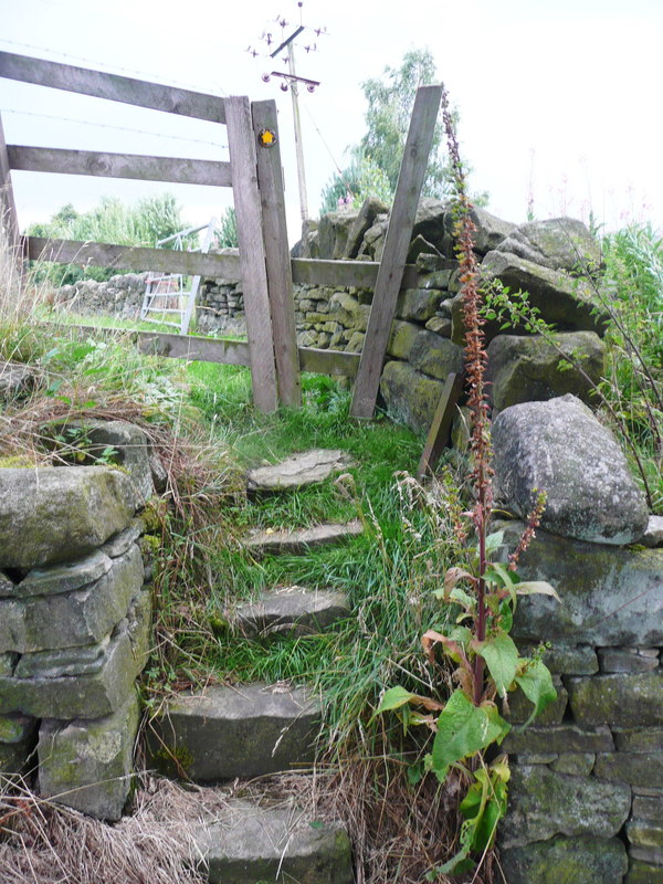 Steps And Stile On The Footpath To Oaken Humphrey Bolton