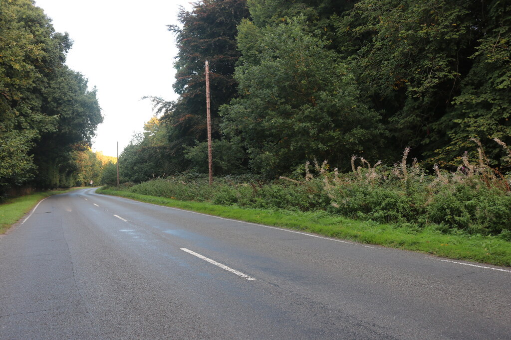 Thetford Road Santon Downham David Howard Geograph Britain And