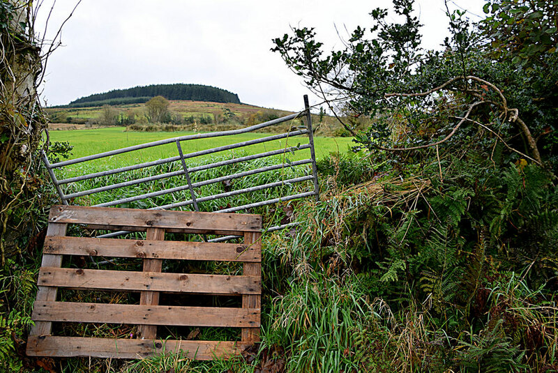 A Gap In The Hedge Rylagh Kenneth Allen Geograph Ireland