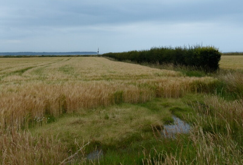 Farmland Along The Fife Coastal Path Mat Fascione Geograph Britain