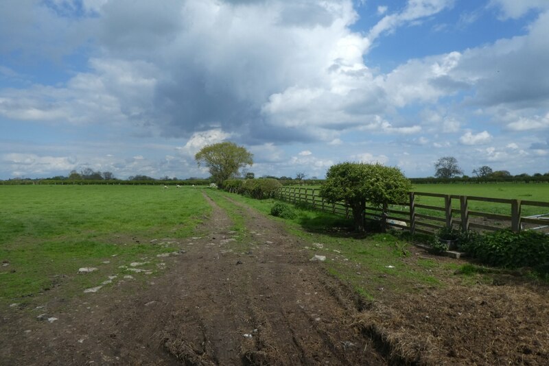 Footpath At Skip Bridge Inn Farm DS Pugh Geograph Britain And Ireland