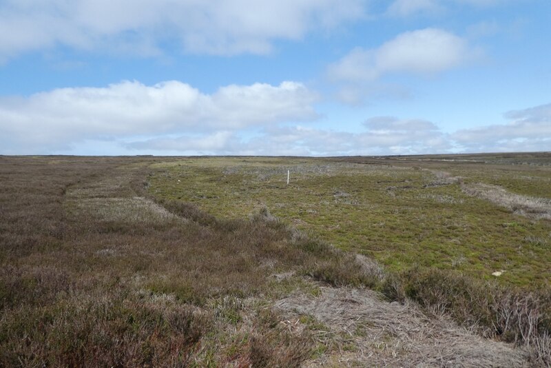 Moorland Near White Gill Head Ds Pugh Geograph Britain And Ireland