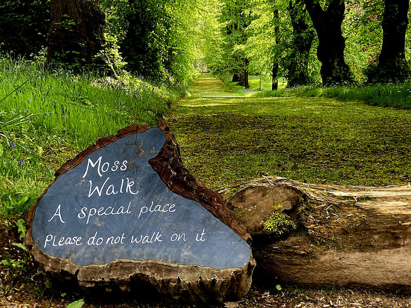 Moss Walk Hillsborough Castle Grounds Kenneth Allen Geograph