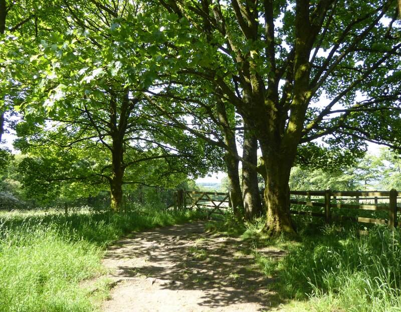 Footpath And Gate Phil And Juliette Platt Geograph Britain And Ireland