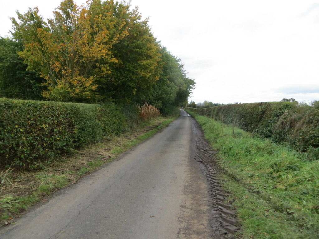 Minor Road Beside Laws North Plantation Peter Wood Geograph