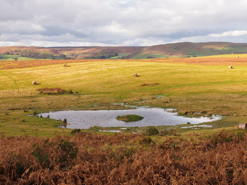 The Begwns Common Chris Andrews Geograph Britain And Ireland