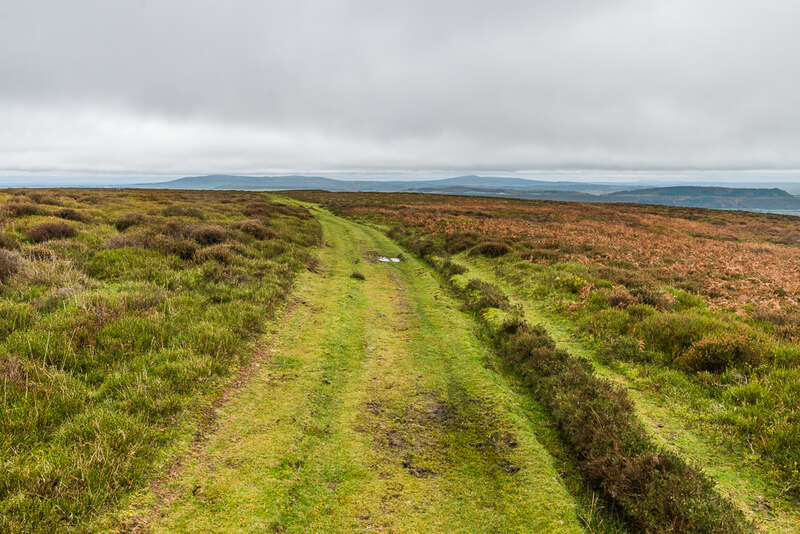 On Minton Hill Ian Capper Geograph Britain And Ireland