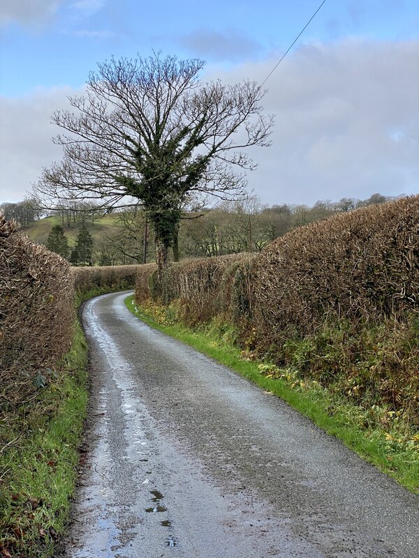 Country Lane Alan Hughes Geograph Britain And Ireland