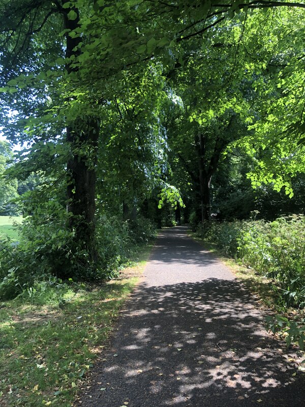 River Avon Trail In Sparke Evans Park Eirian Evans Geograph