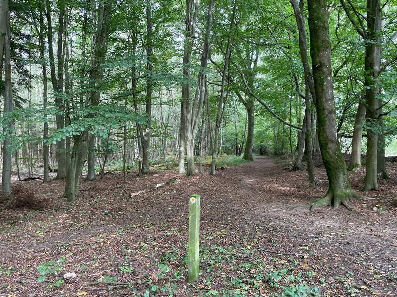 Footpath Through Brock Copse Mr Ignavy Geograph Britain And Ireland