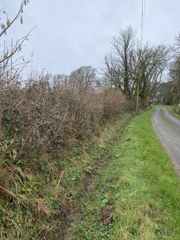 Roadside Ditch Alan Hughes Geograph Britain And Ireland