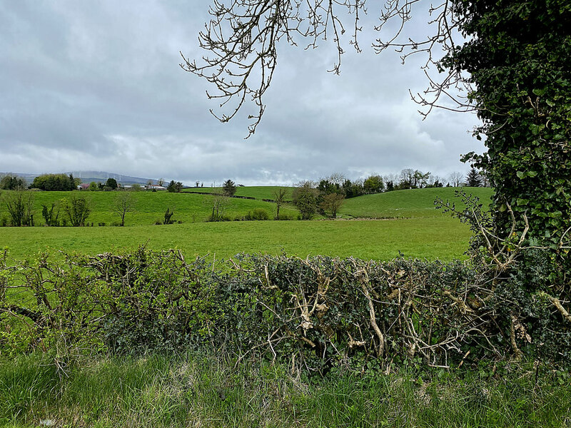 Mountjoy Forest East Division Kenneth Allen Geograph Britain And