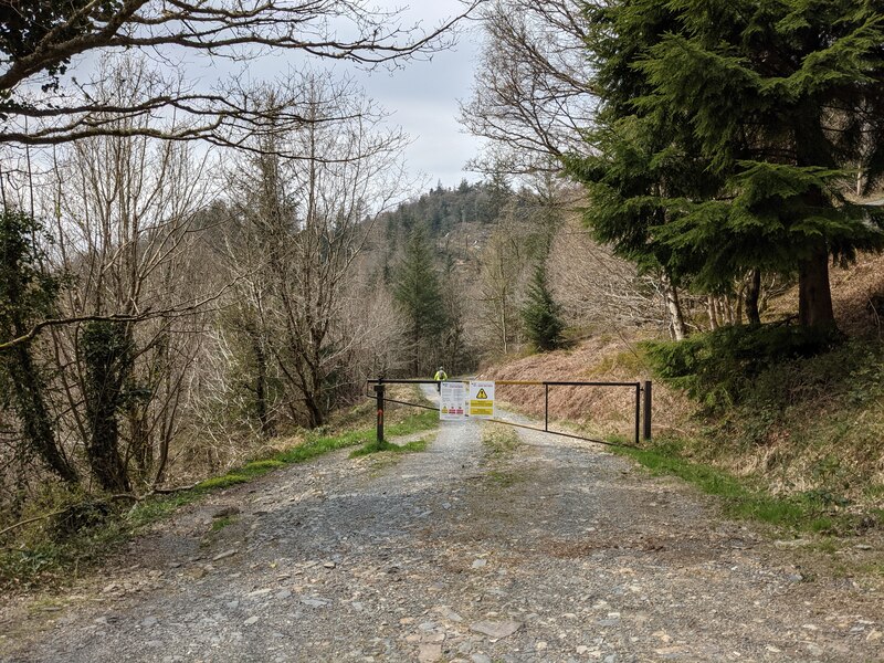 A Forestry Road Near Diosgydd Isaf David Medcalf Geograph Britain