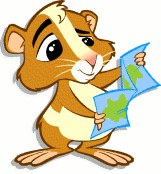 Perdita the Geograph hamster