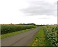 Towards Hungerton