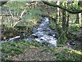 Small stream joins the Berach