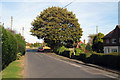 Road at Hooe, East Sussex