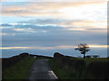 Approaching Crosshill near Auldhouse