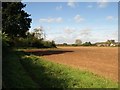 Potato field north of Longaller