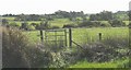 Undulating countryside west of Afon Crigyll