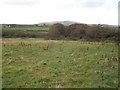 Rough pasture, near Blacknuck