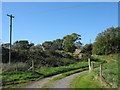 Farm access road near Cae Hywel