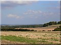 Looking east from Cholderton Road, near Grateley