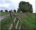 Fence near Spittal Houses