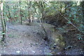 Stream in Woods, near Thomas Brassey Close