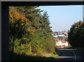 Looking towards Ipswich from underneath the A14