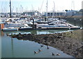 Marina seen from the old Bourne Bridge