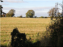 SO9607 : Field to the west of Duntisbourne Leer by Stuart Wilding