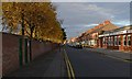 Autumn along Milligan Road