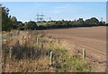 Fields north of the A14 at the west end of the Orwell Bridge