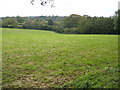 Autumn grass growth