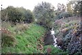 The River Chelmer at Priory Bridge, Felsted