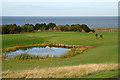 The 3rd green at Eyemouth golf course