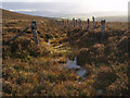 Gateway on Old Track