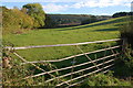 Pasture near Pontshill, Herefordshire