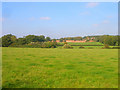 Fields near Rookwood Shaw