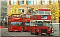 Sightseeing buses, Belfast