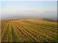 TQ1011 : Field of Stubble, Barnsfarm Hill by Simon Carey