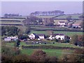 Broomylake Lavender Farm, Llanteg