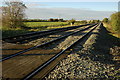 Level crossing at Natton