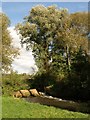 Weir, Norton Brook