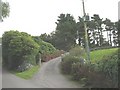 Driveway to Pen-y-parc House