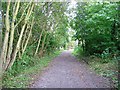 Footpath following disused railway track